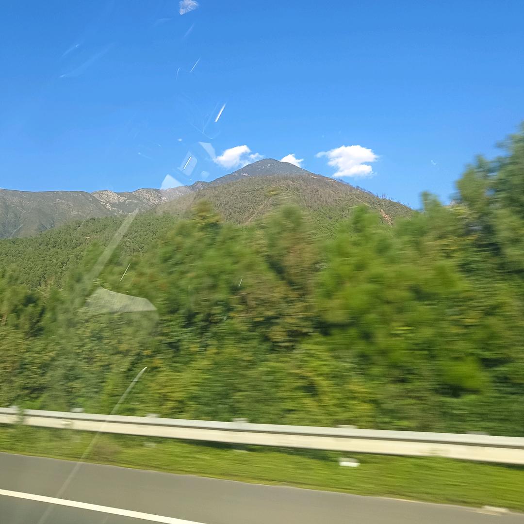 阳光