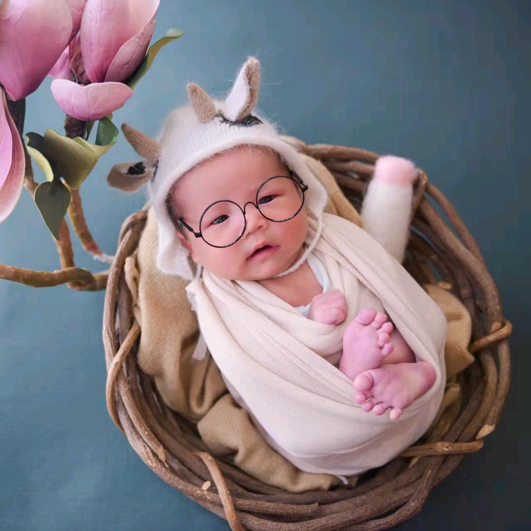 🌲小橙子🍊🌲