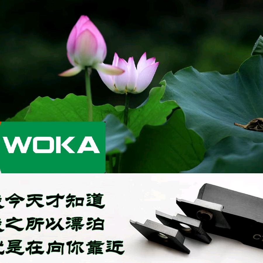 东莞市力辰精密机械有限公司