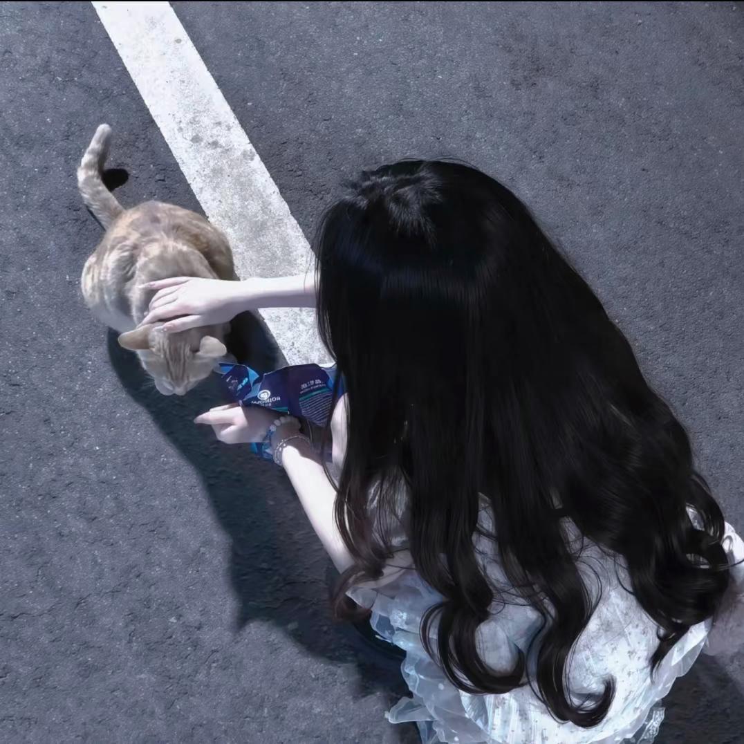 極晝🌙