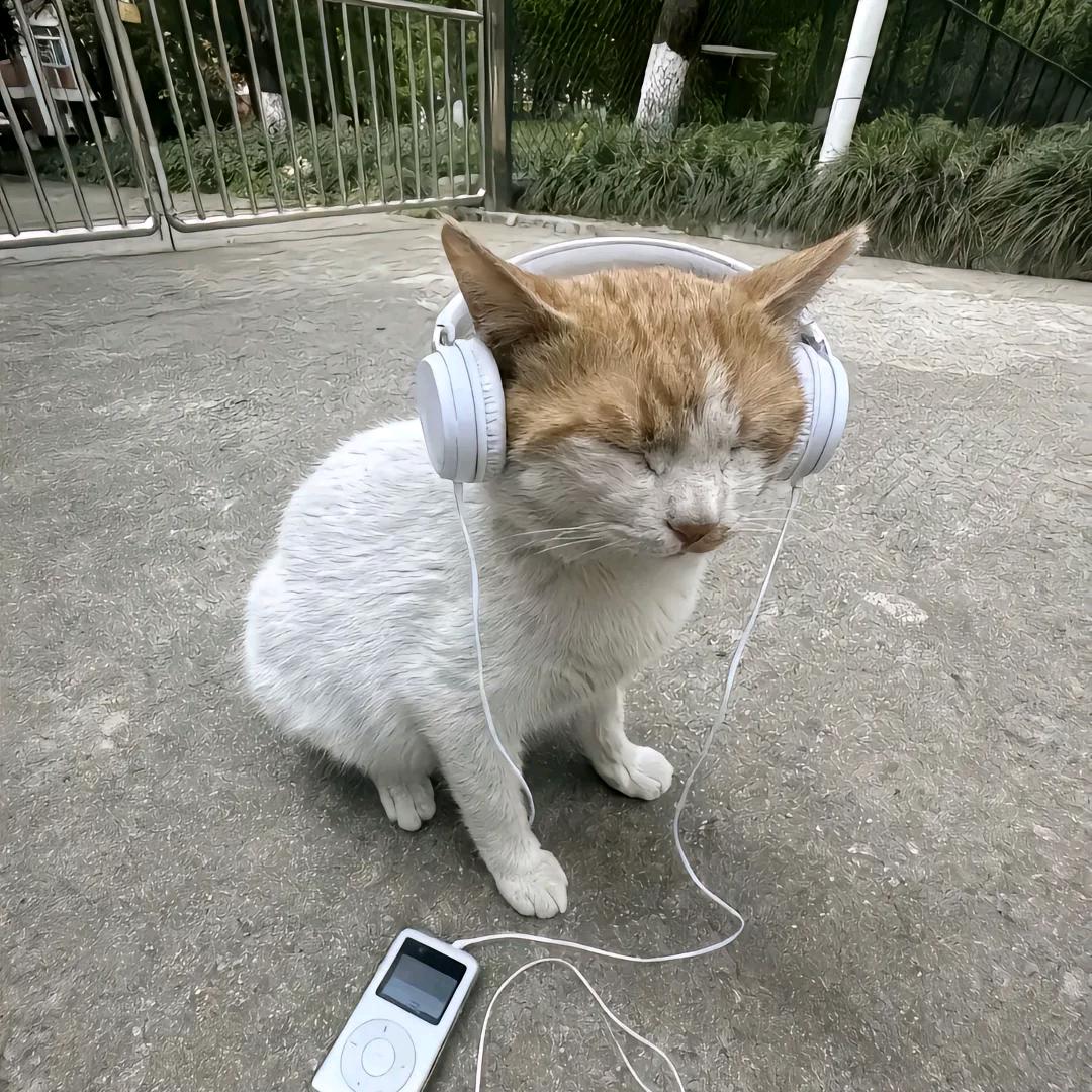 风丘