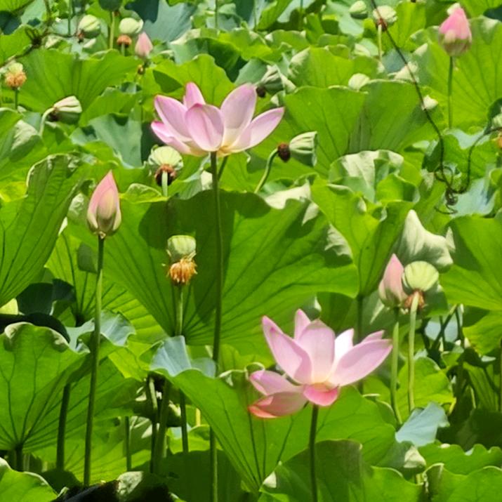 小雯的生活