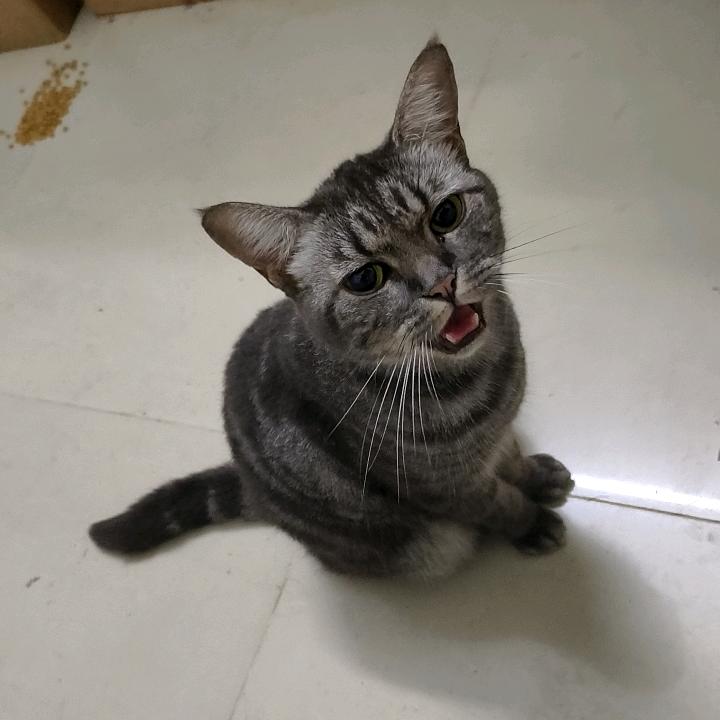 一笑置之
