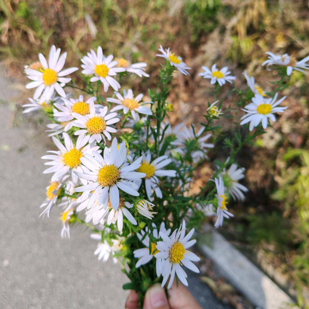 时来运转(づ ●─● )づ