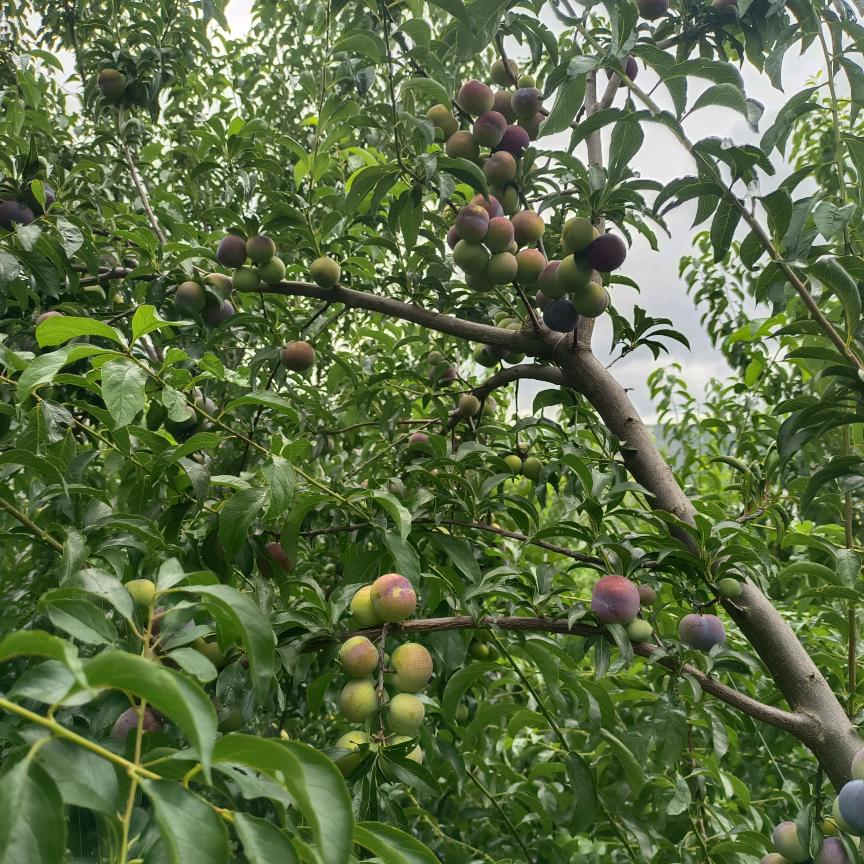 加油吧！年轻人^O^☜♥