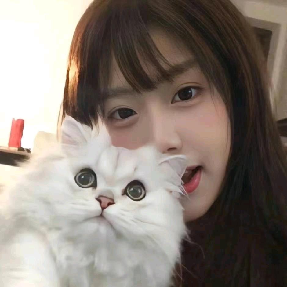 琪zi