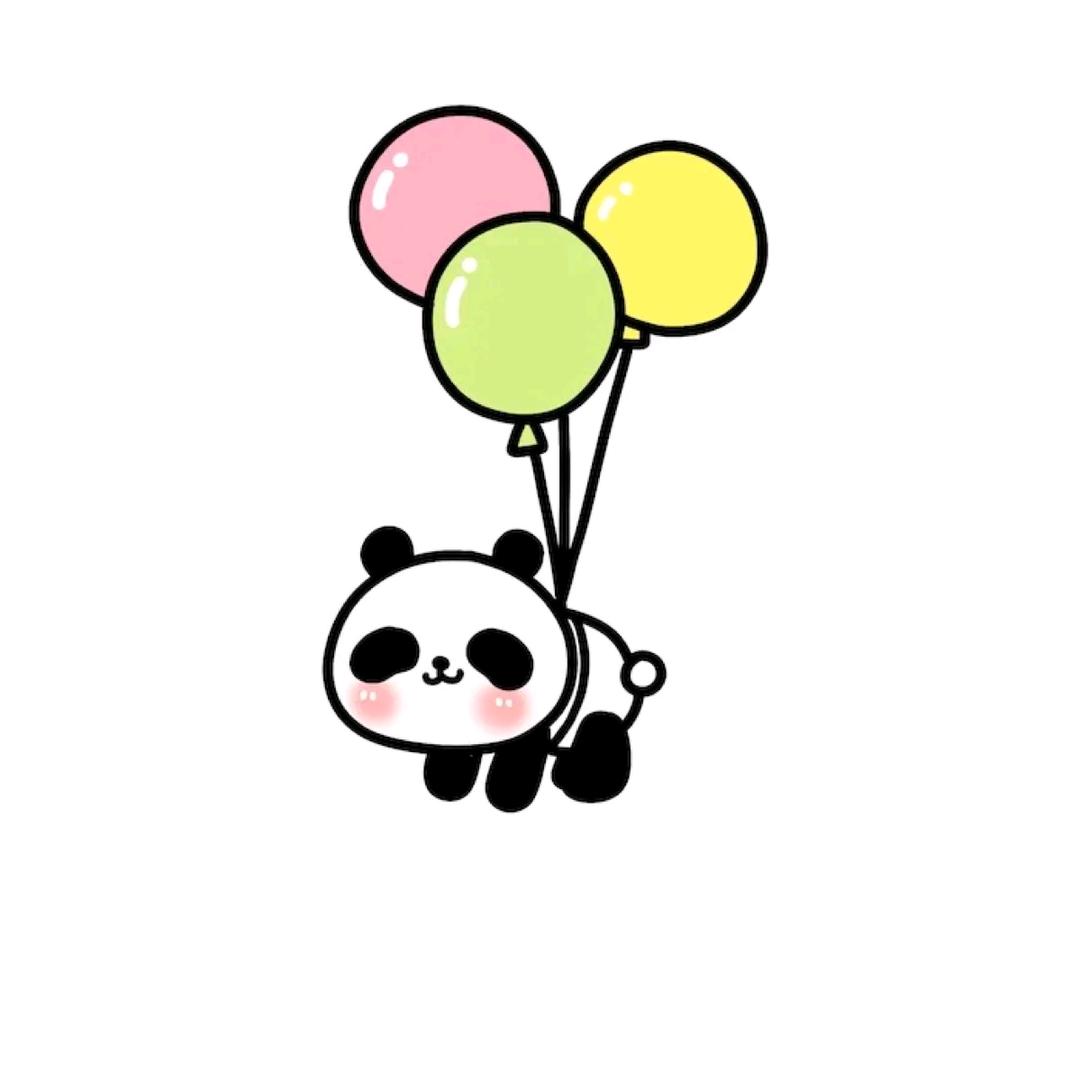 小熊猫-
