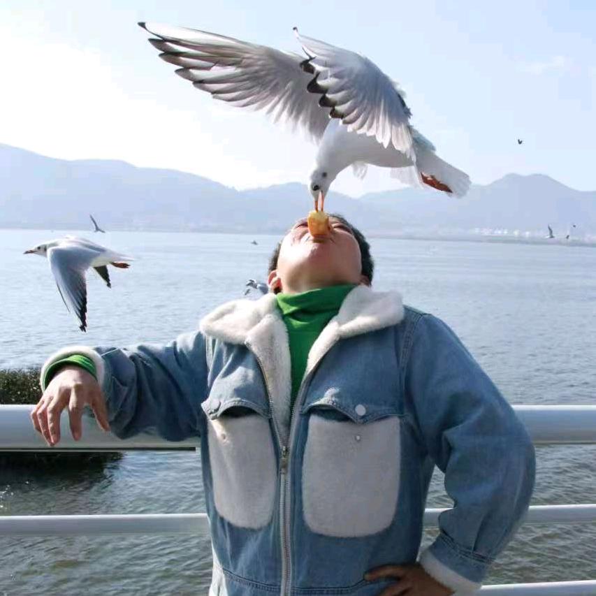 🐴彭姐（重生）拒绝内耗