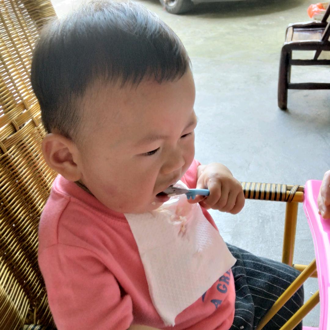 杏树