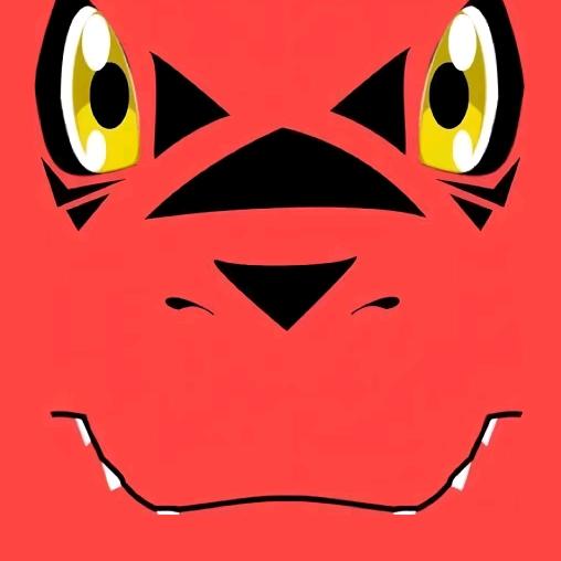 一小只猫咪