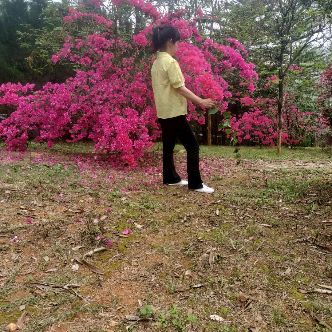 余生᭄🕊随心᭄ල᭄往事💞清零♥ꦿ᭄