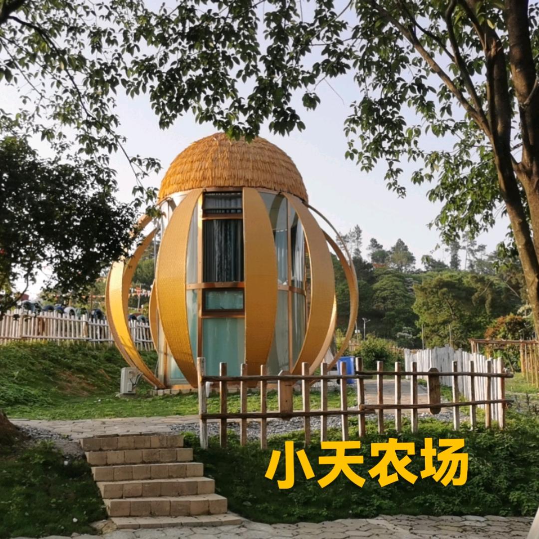 小天家庭农场