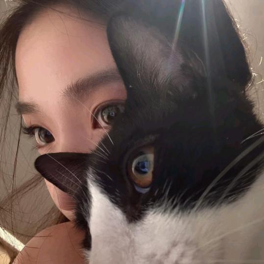 琳儿响叮当