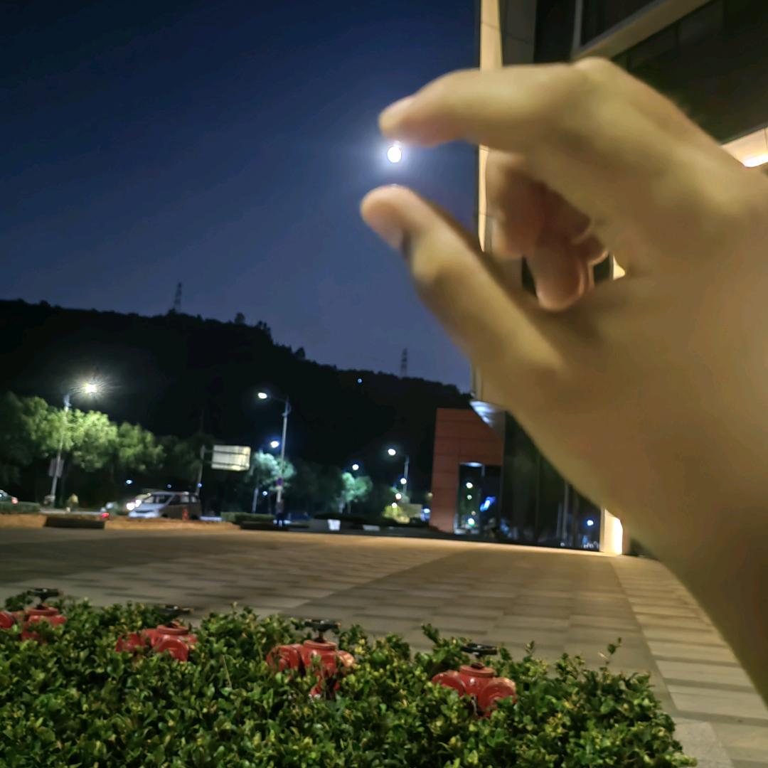 良陈美锦