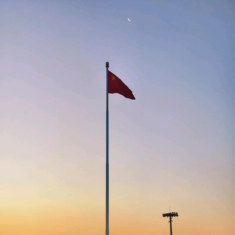 美丽世界的孤儿