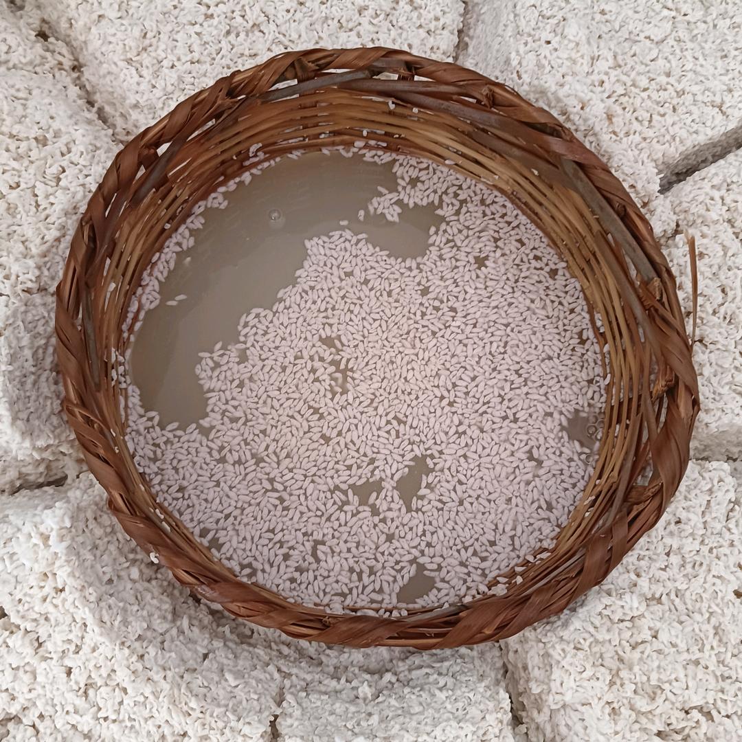 菲菲米烧酒(收徒弟)