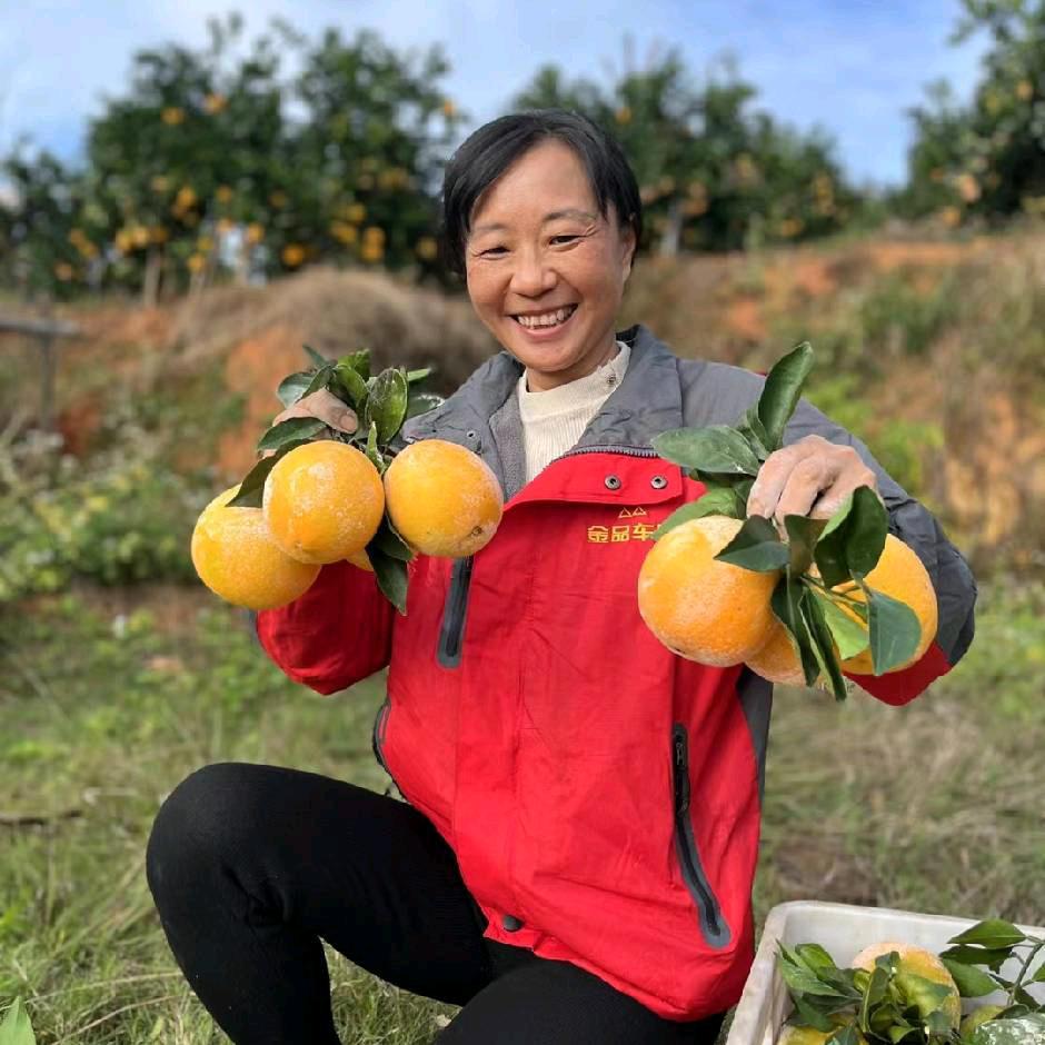 利春大姐（土鸡蛋）