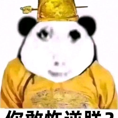 顾晓染