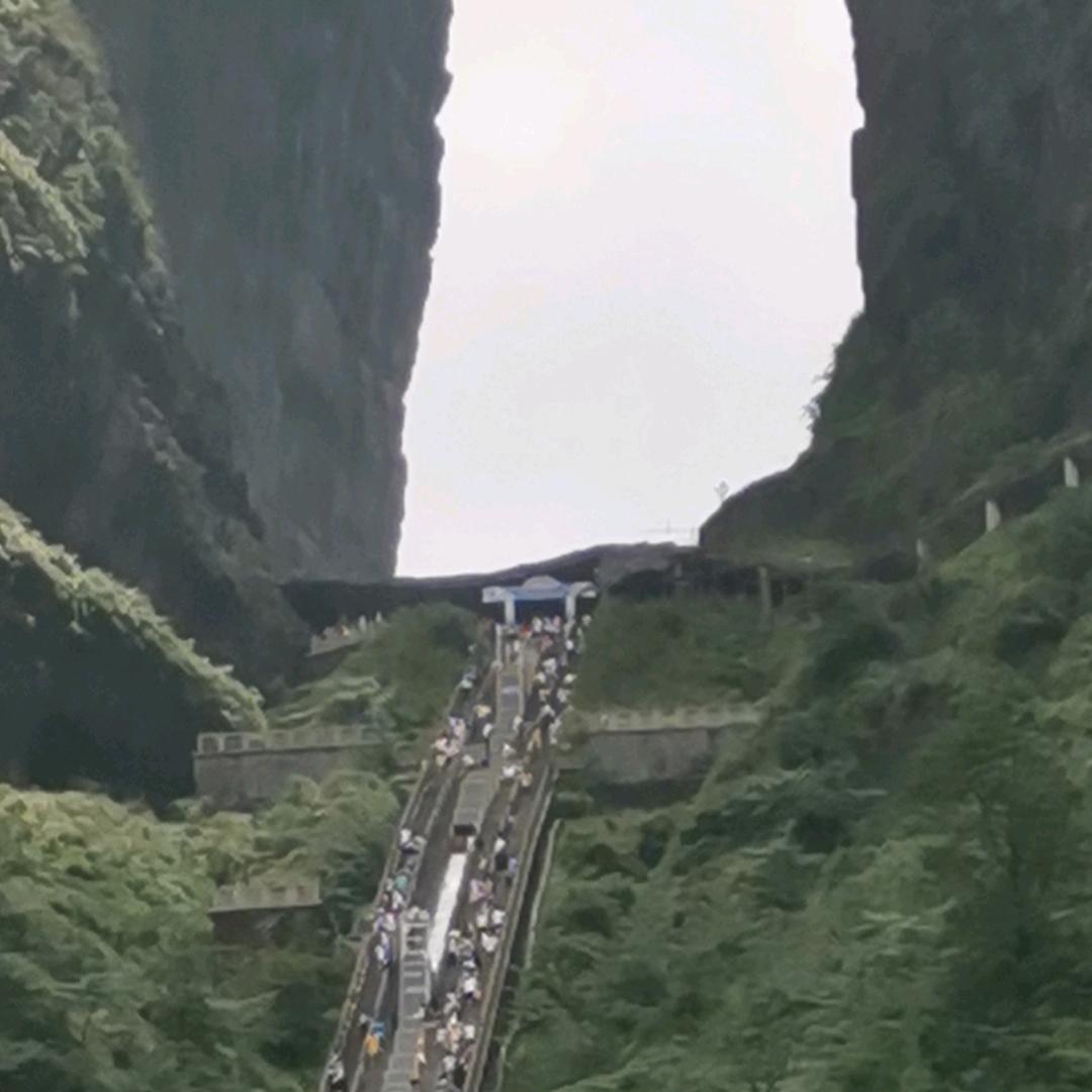 七叔