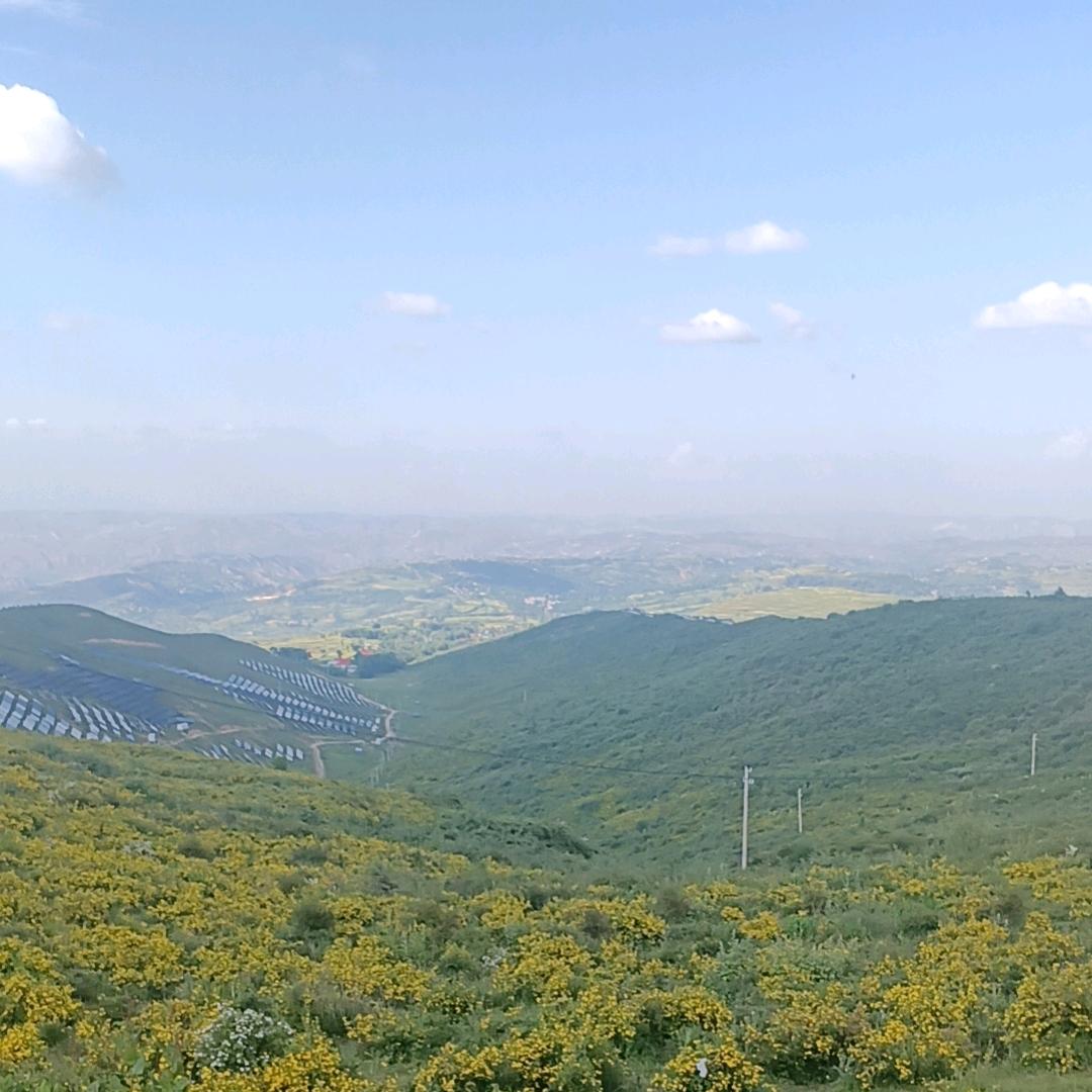 ❄️零❄️度❄️