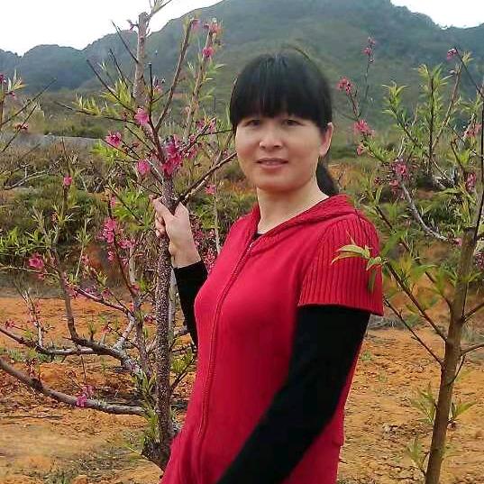 巧慈