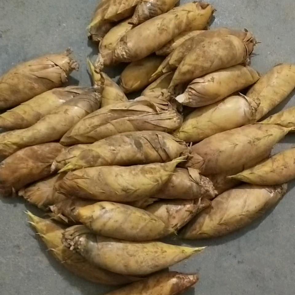 南雄冬笋.红菇收购.批发