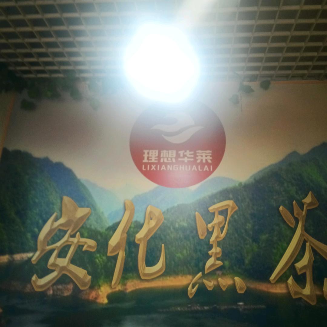 存在123