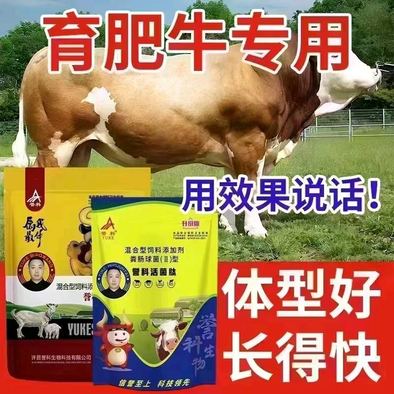 牛羊养殖技术指导