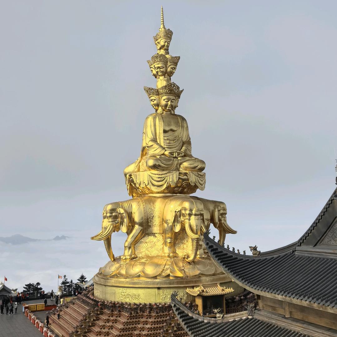 ”尊