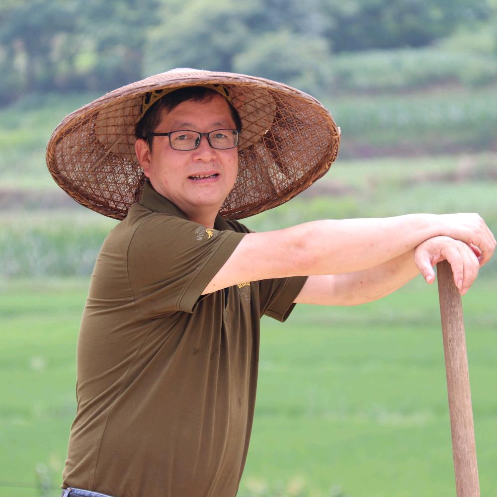 东东（不定时直播）