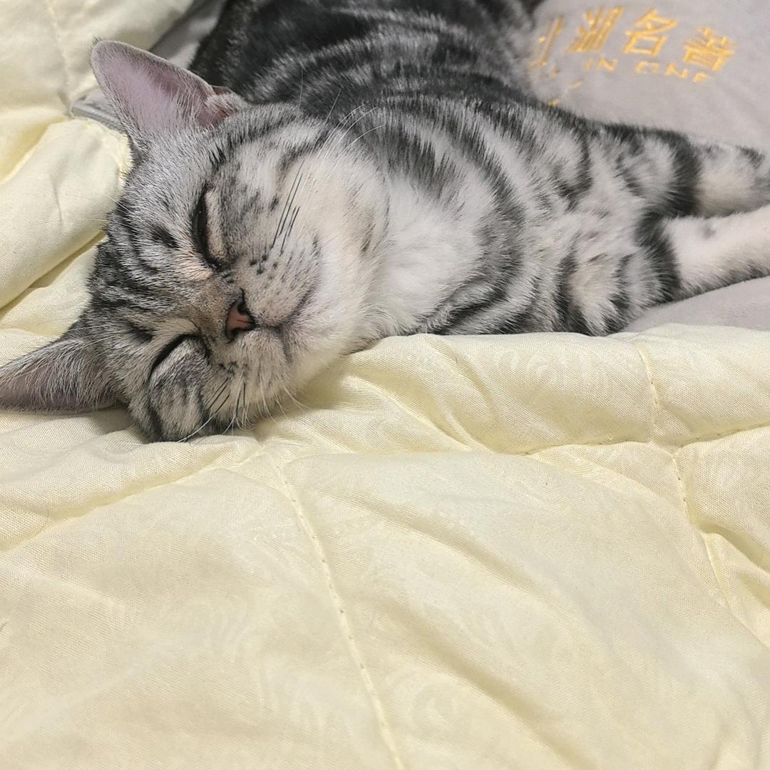 郴州相山寺义工小边