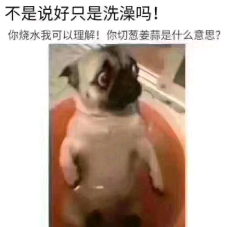 放荡不羁的灵魂