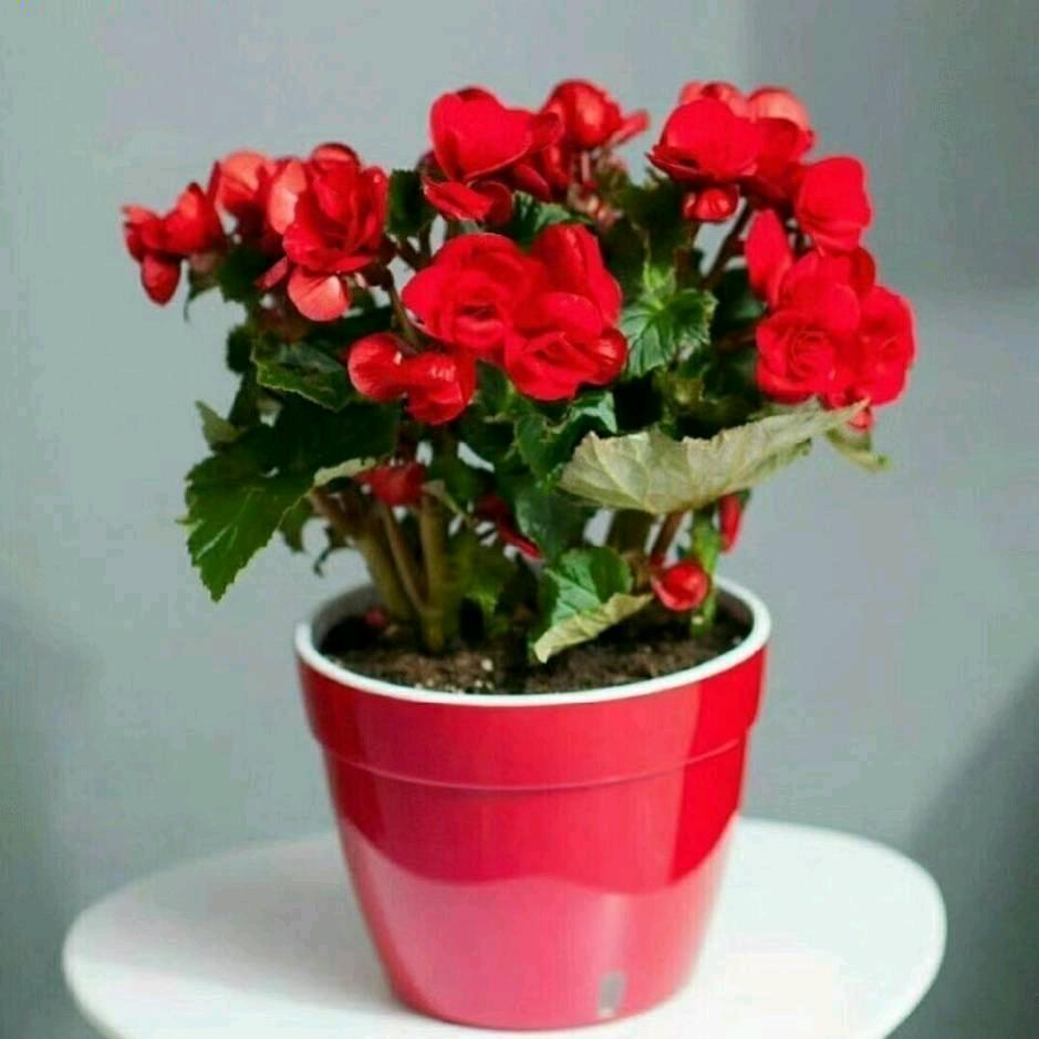 阳光总在风雨后，你是人生的作家