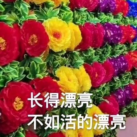 我只是路过而以