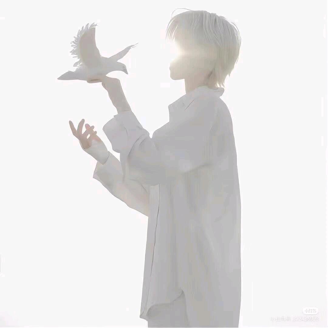 娟姐橱窗的头像