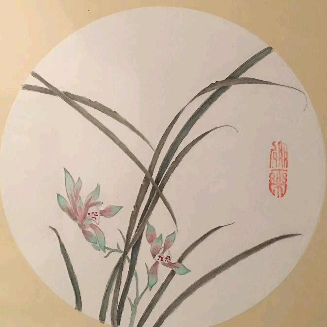 一虫(每天虾画十分钟)