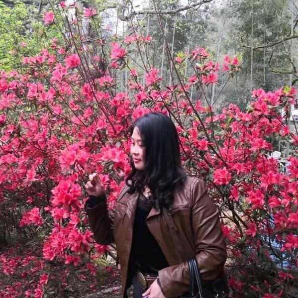 花容儿