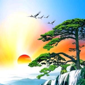 鴻運鑫福