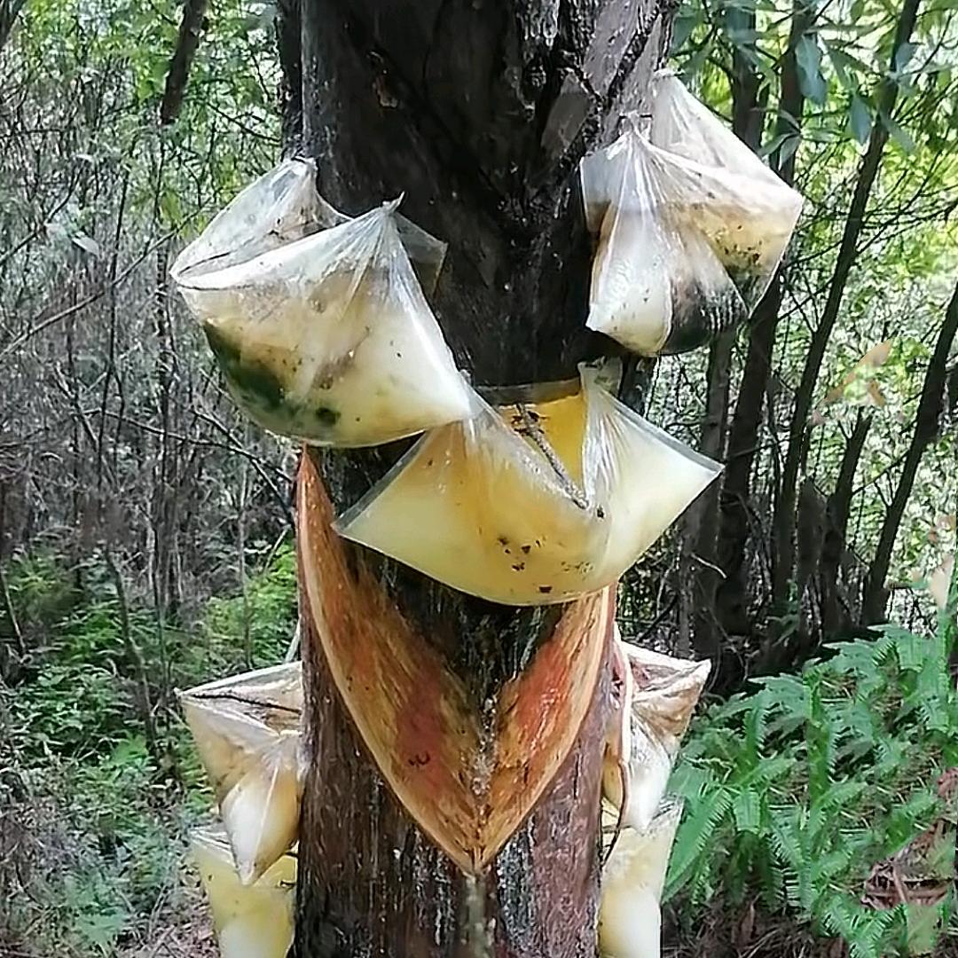 中泓防晒松油袋生产厂家