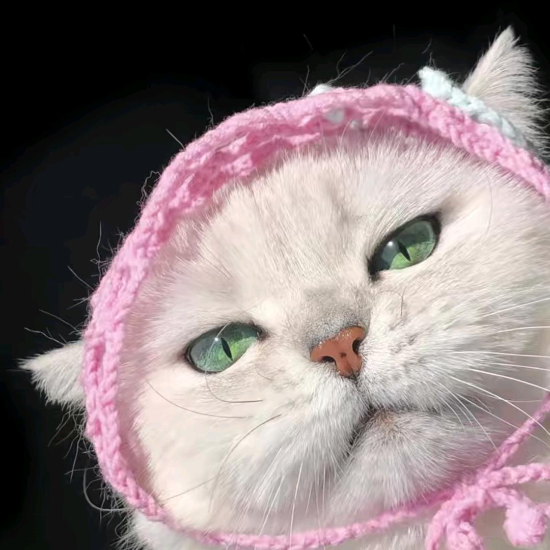 学习新思想争做新青年