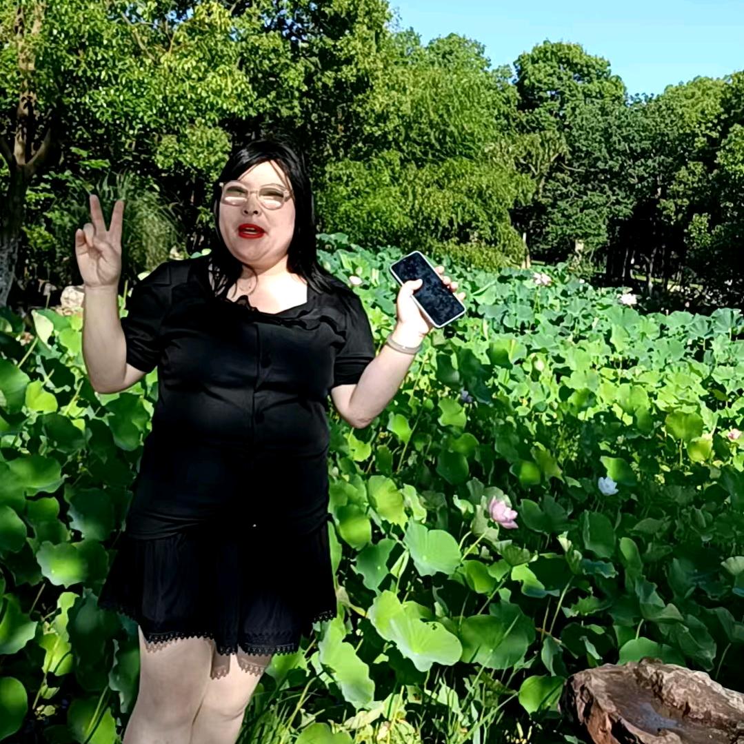 丹丹