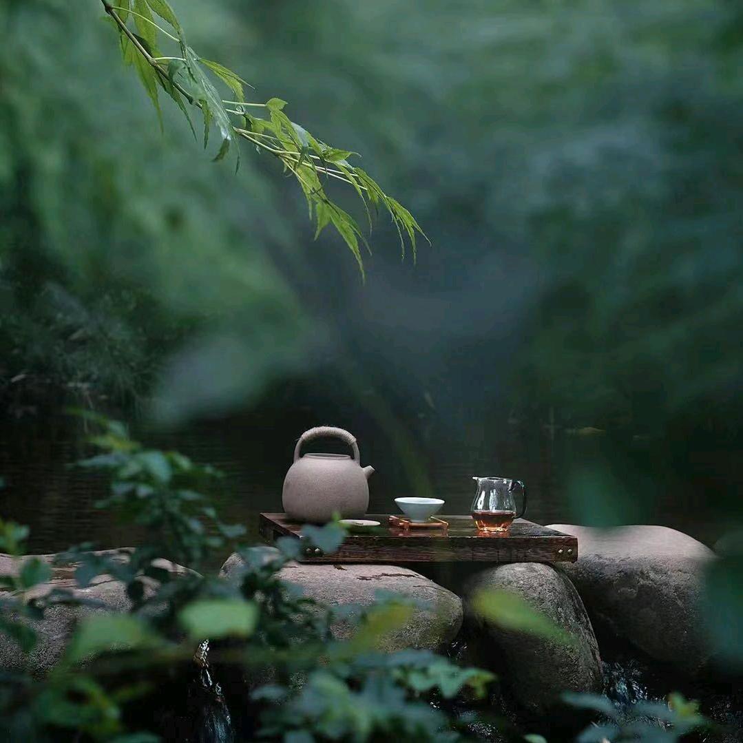 潮州凤凰单枞茶批发
