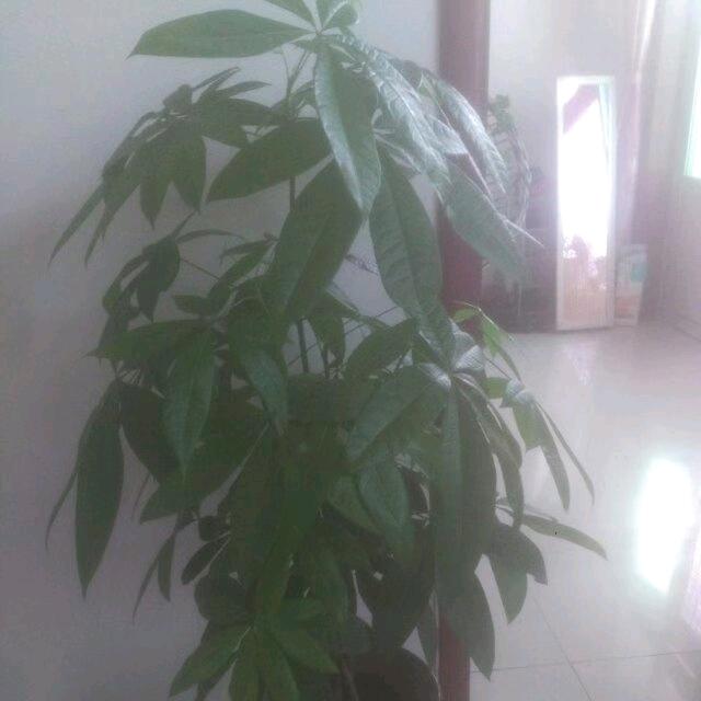 风雨过后的彩虹