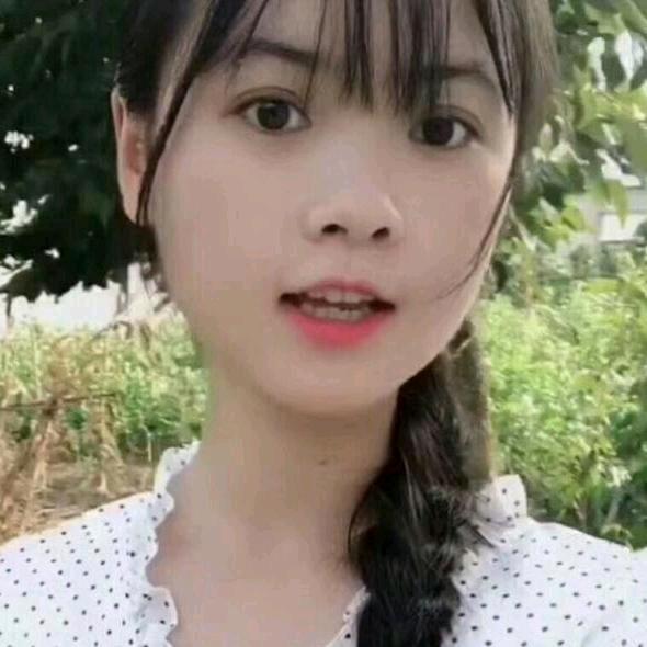 红牡丹