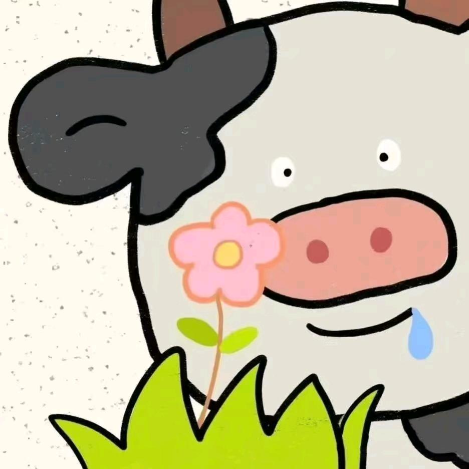 开导航的小白兔