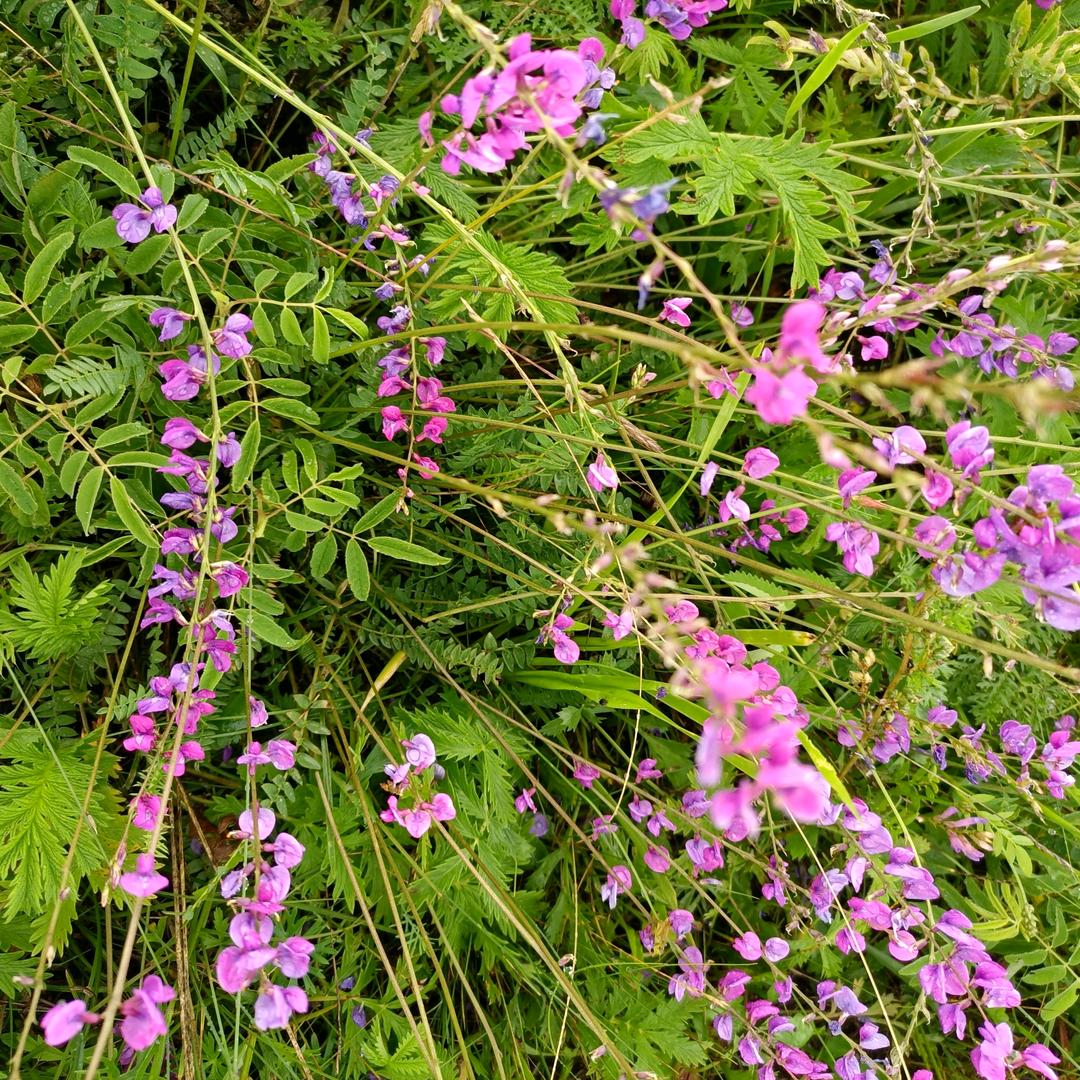 幸福快乐每一天