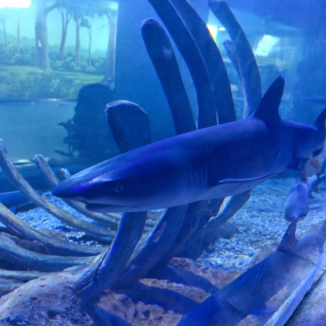 别让我们变成回忆