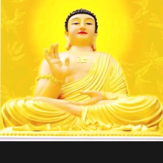 🙏盛清莲🙏