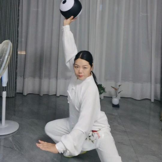 柳枝太极优选