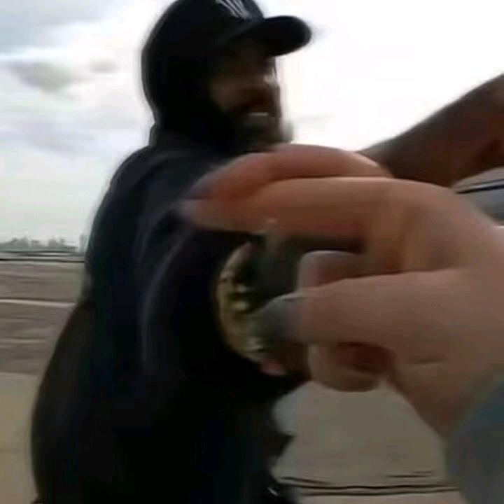 ¿¿¿¿